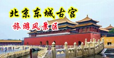 操大黑b网中国北京-东城古宫旅游风景区